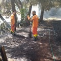 Ancora incendi nelle campagne di Andria: a fuoco sterpaglia  sottobosco in contrada Borgo Torricciola