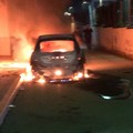 Tentata estorsione a vicepresidente Bat, arrestata una 30enne di Spinazzola