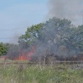 Dichiarazione dello stato di pericolosità per gli incendi boschivi