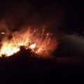 Alta Murgia: in fumo 270 ettari di Parco, Andria in testa