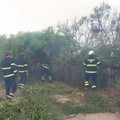Tutto pronto per la Campagna Antincendio Boschivo 2024 del Parco dell'alta Murgia