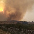 Fiamme in Puglia per il gran caldo e la siccità: da gennaio a luglio in fumo 2.207 ettari