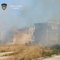 Incendi, quasi 3 mila ettari in fumo: preoccupano i rifiuti abbandonati