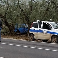 Incidente sulla SS 170: perde la vita un 73enne andriese