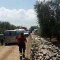 Bollettino ufficiale: 23 vittime e 52 feriti