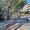 L'indagine dei Carabinieri di Andria ha portato a sgominare un ingente smercio di cocaina