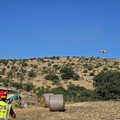Incendi boschivi: nuovi focolai sulla Murgia tra Minervino ed Andria