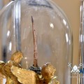 Festa liturgica della Sacra Spina di Andria