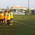 Torna ad Andria il "Virtus Day ": appuntamento il 28 maggio con Fabio Pesatori