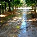 Irrigatori in funzione al mattino nella Villa Comunale, disturbo ai cittadini che passeggiano