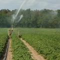 CIA Puglia alla Regione: “Più carburante agevolato per gli agricoltori”