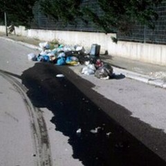Rifiuti, differenziata e bidoni: i numeri di marzo in città
