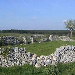 "Giromurgia Quattro Stagioni ", escursione nel Parco dell'Alta Murgia