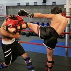 Il Palasport diventa un ring con l' A.S.D. Kick Boxing Andriese