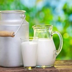 Latte, Coldiretti "In Gazzetta Ufficiale il via libera a etichetta Made in Italy "