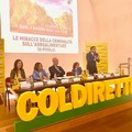 Criminalità, Coldiretti: "Ecco la mappa dei fenomeni criminosi ad Andria "