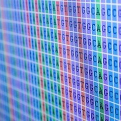 La tecnologia che scova il colpevole