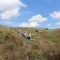 Parco dell'alta Murgia: Tarantini presidente, c'è l'ok di Camera e Senato