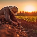Interrotte le trattative per il nuovo contratto di lavoro degli operai Agricoli e Florovivaisti delle Province Bari e Bat