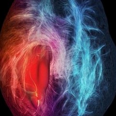 Le cellule che nutrono i tumori