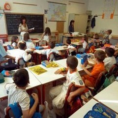 La scuola "Imbriani " presenta l'elaborato vincente al concorso "Regoliamoci "