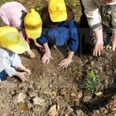  "L'uomo e l'ambiente ", un convegno su sostenibilità e salvaguardia