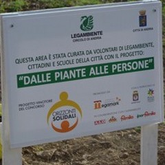 Dalle piante alle persone, il valore degli spazi verdi urbani
