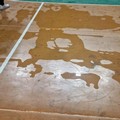 nPSI Liberali e Riformisti Andria: "Palasport, da fiore all'occhiello a simbolo di abbandono e disinteresse "