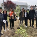 Lions Club Puglia Scambi Giovanili: "Tre alberi per salvare il pianeta "