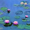 Alla Multisala Roma  "Le ninfee di Monet - un incantesimo di acqua e luce "