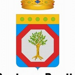 10 casi di Sindrome Emolitico Euretica in Puglia