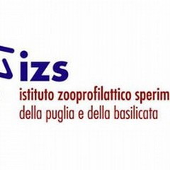 Dodici borse di studio per terminare ricerche del 2011