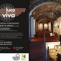 Oggi alla Sala dei Templari di Molfetta l'inaugurazione di "Luce Viva "