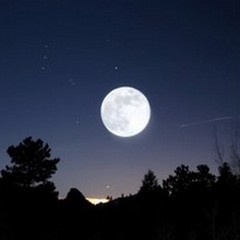 Sogni nelle notti di mezza estate, tante le iniziative della nuova edizione