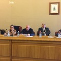 Lupi e cinghiali, agricoltori pugliesi:  "È emergenza, subito adeguati risarcimenti "