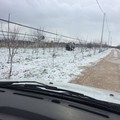 Maltempo, per Coldiretti un "disastro la morsa del gelo per l'agricoltura pugliese "