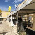 Feste patronali senza bancarelle, Montaruli (CasAmbulanti):  "Violazione diritti umani mentre la città è nel caos "