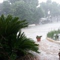 Rischio grandinate: Coldiretti invita a sottoscrivere assicurazioni