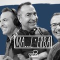 Ma... l'erba