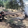 Incendio ad Andria in un'azienda agricola in via Malpighi