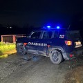 Tentano di rubare autovettura in via Sofia: tempestivo intervento dei Carabinieri di Andria