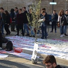 Studenti in piazza per il diritto allo studio e l'albero della libertà