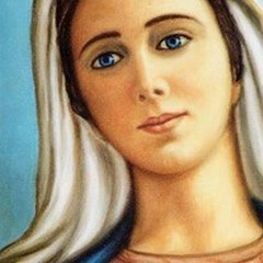 Andria  "Civitas Mariae ": oggi la proclamazione