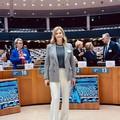 Agricoltura, Mariangela Matera (FdI): "Da AGEA fondi per ammodernamento frantoi "