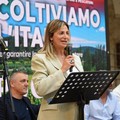 Commercio ambulanti, Matera (FDI): «Linee guida su concessioni danno certezza a operatori e Comuni»