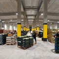 Mercato ortofrutticolo di Andria: «il centrodestra è contrario alla riduzione delle tariffe»
