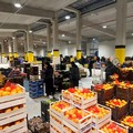 L'ortofrutta traina l'export: si conferma uno dei pilastri dell'agroalimentare Made in Italy