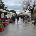 Anva Confesercenti e Federcommercio Provinciale Bat: "Comune Andria valuti forme di agevolazione per pagamento arretrati per occupazione suolo pubblico "
