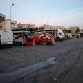 Mercato ortofrutticolo: apertura pomeridiana dal lunedì al venerdì