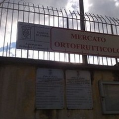 Festività natalizie: Mercato ortofrutticolo, 23 dicembre orario continuato